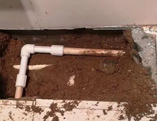 巫山测漏水哪家好