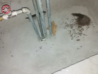 巫山卫生间测漏水价格明细