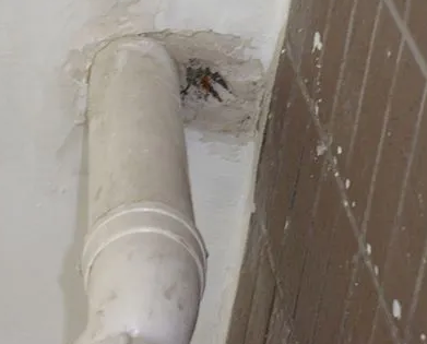 巫山漏水检测哪家好